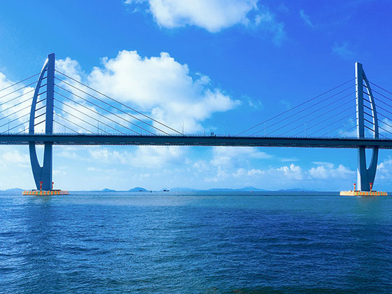 海上觀港珠澳大橋，邂逅中華白海豚